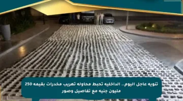 تنويه عاجل اليوم.. الداخلية تحبط محاولة تهريب مخدرات بقيمة 250 مليون جنيه مع تفاصيل وصور